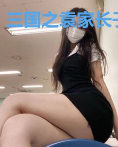 三国之袁家长子