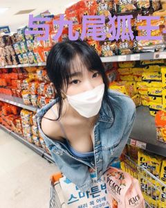 与九尾狐王寻找神器碎片