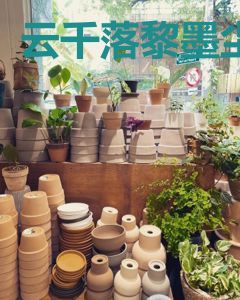 云千落黎墨尘