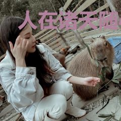 人在诸天随心所欲