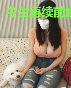 今生再续前缘