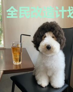 全民改造计划