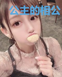 公主的相公