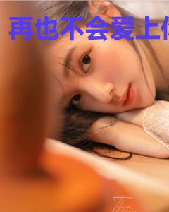 再也不会爱上你