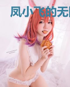 凤小飞的无限人生之信徒