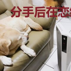 分手后在恋综爆红乔温染