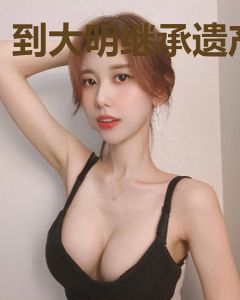 到大明继承遗产