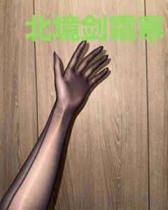 北境剑霜寒