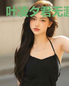 叶凌夕君无涯