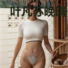 叶凡苏晚晴