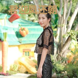 君迎凤还朝