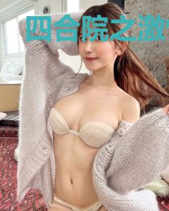四合院之激情岁月