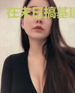 在末日搞基建