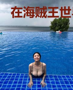 在海贼王世界建国