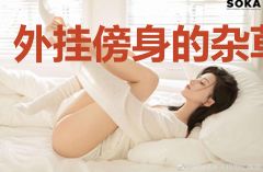 外挂傍身的杂草