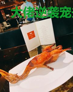 大佬逆袭宠夫忙叶苏染