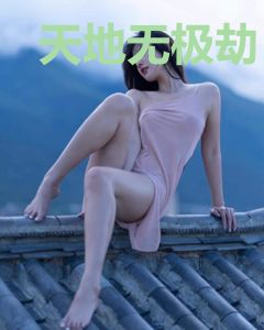 天地无极劫