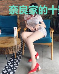 奈良家的十影术士