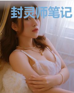 封灵师笔记