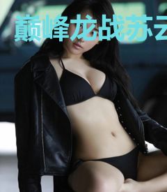巅峰龙战苏云