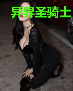异界圣骑士
