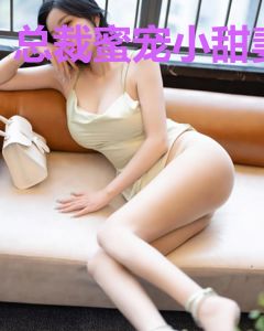 总裁蜜宠小甜妻