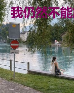 我仍然不能放弃爱你