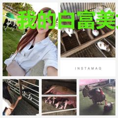 我的白富美女老板
