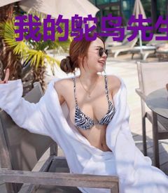 我的鸵鸟先生