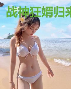 战神狂婿归来