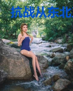 抗战从东北王开始到皇帝