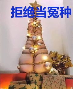 拒绝当冤种：我带男主揍遍全书