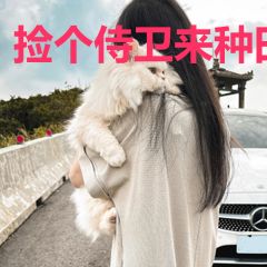捡个侍卫来种田