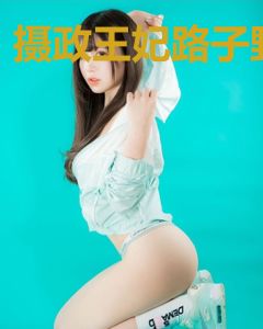摄政王妃路子野