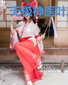 无极神医叶风云陆一曼