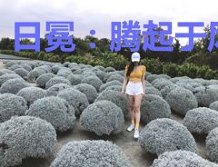 日冕：腾起于风