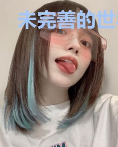 未完善的世界之旅