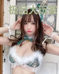 极品大玩家