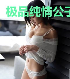 极品纯情公子