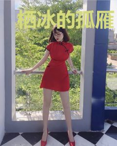 栖冰的孤雁