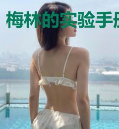 梅林的实验手册
