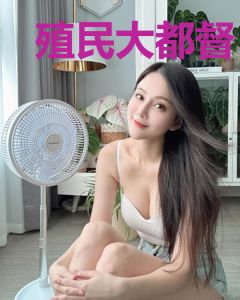 殖民大都督