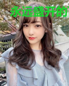 永远盛开的百合花