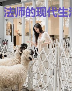 法师的现代生活