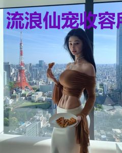 流浪仙宠收容所