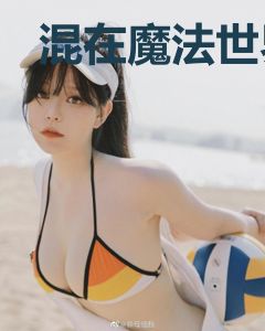 混在魔法世界的修真者