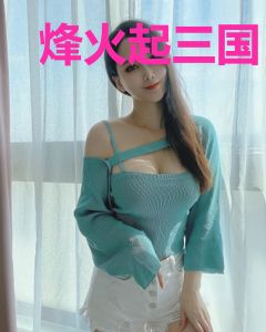 烽火起三国