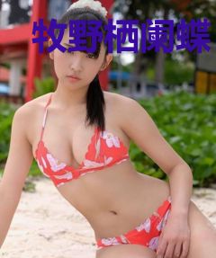 牧野栖阑蝶