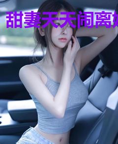 甜妻天天闹离婚