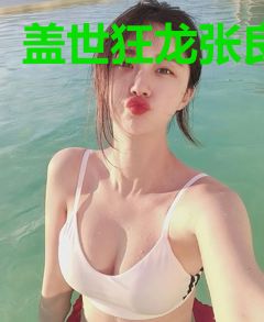 盖世狂龙张良